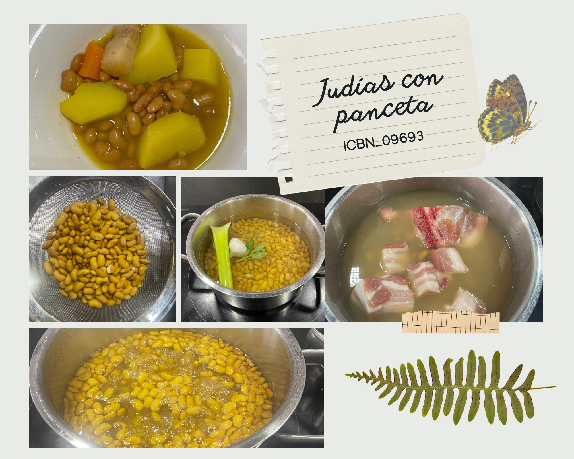 Citizen Science Experiment